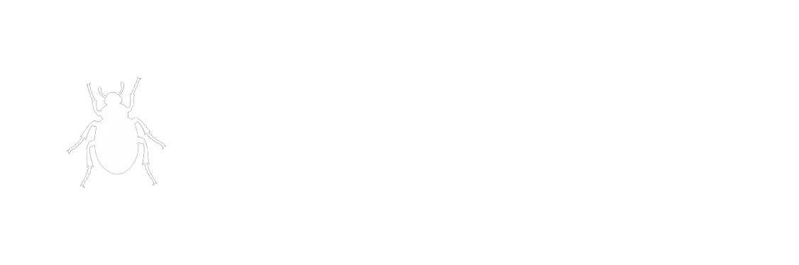 Beetlog